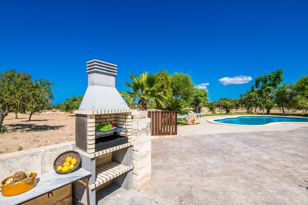 Lantställe Ideal Mallorca - Vernissa
